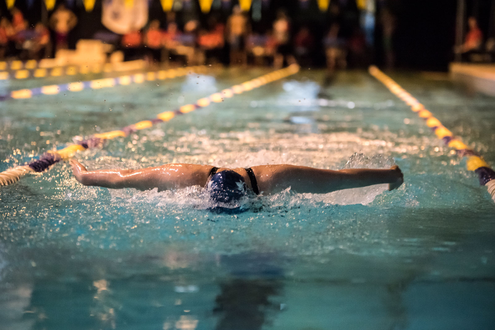 Season update UBC’s swim team is firing on all cylinders