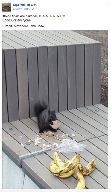uci squirrelmail