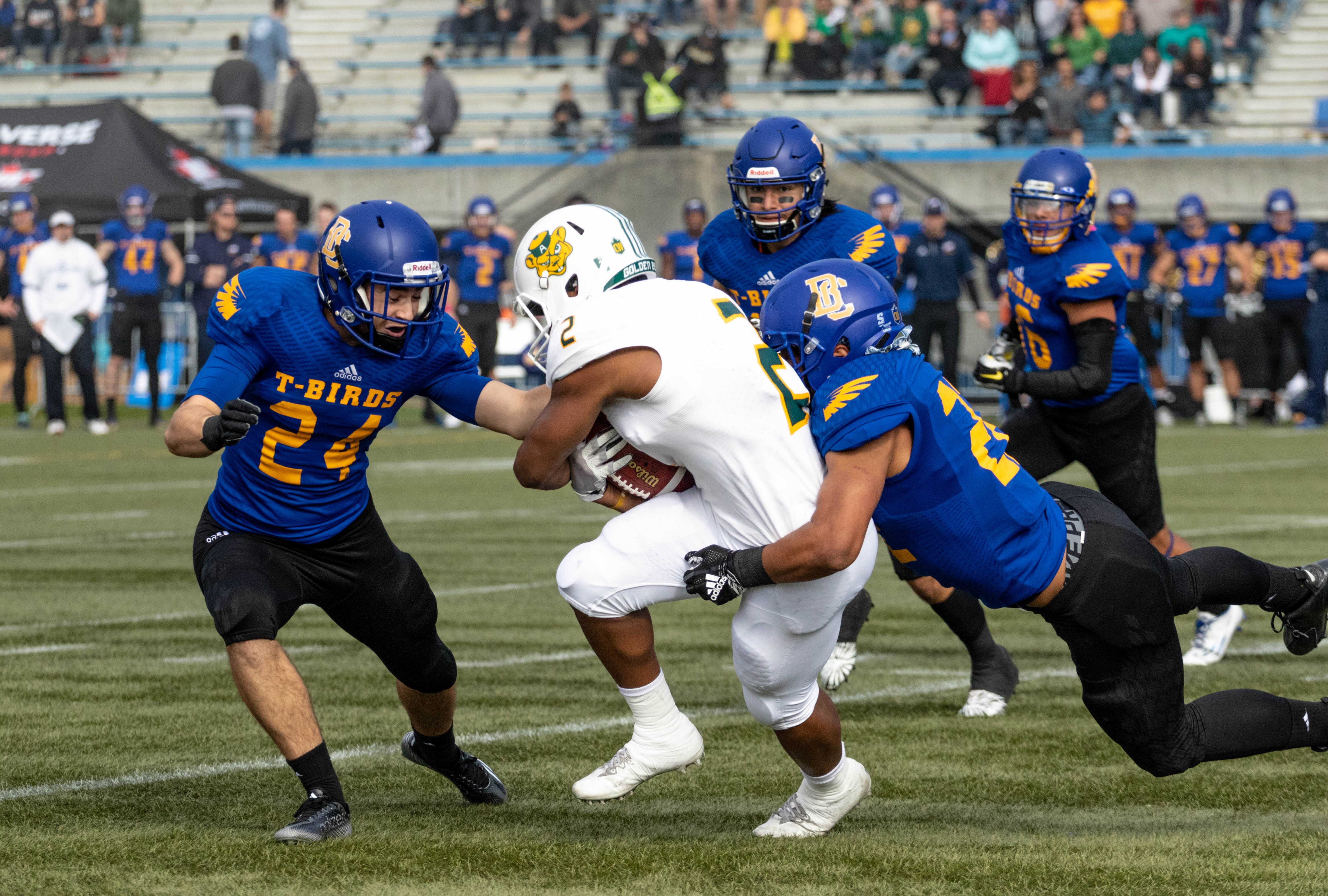 The Blitz: UBC football clinch playoffs