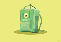 Higher Education