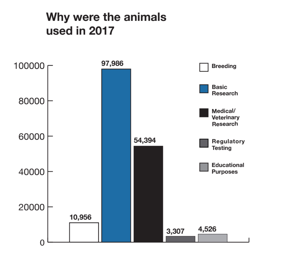 UBC experimented on over 170,000 animals in 2017. Here’s how and why.