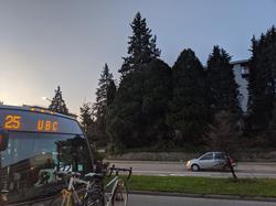 25 bus