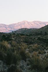 Jasmine Foong Spain WWOOF Places to Go
