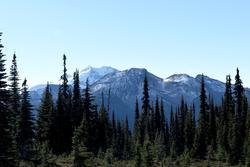 garibaldi view