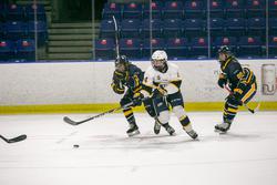 women's hockey ubc v twu